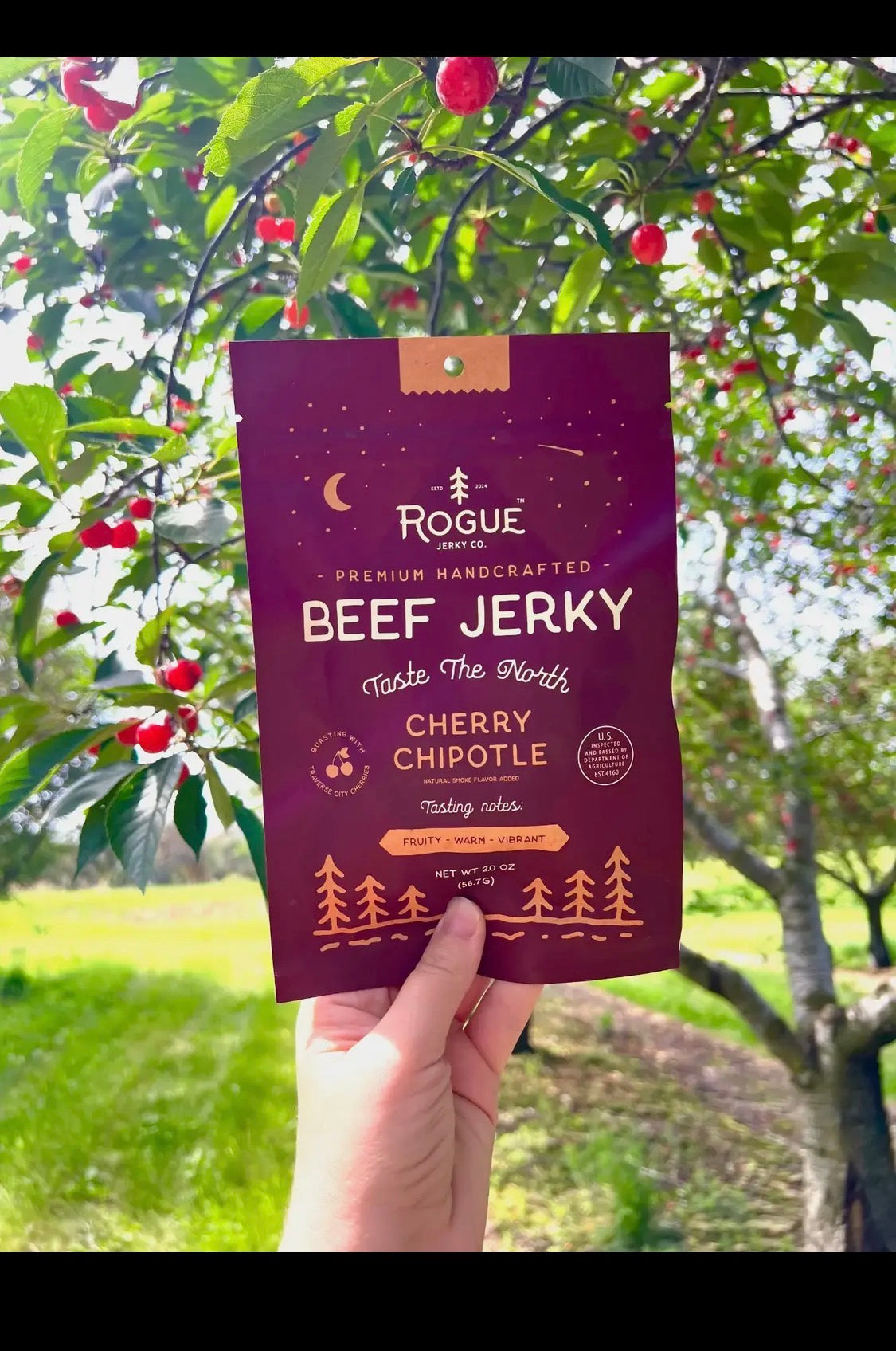 Rogue Jerky Cherry Chipotle Beef Jerky, Minimally Processed, 2 oz