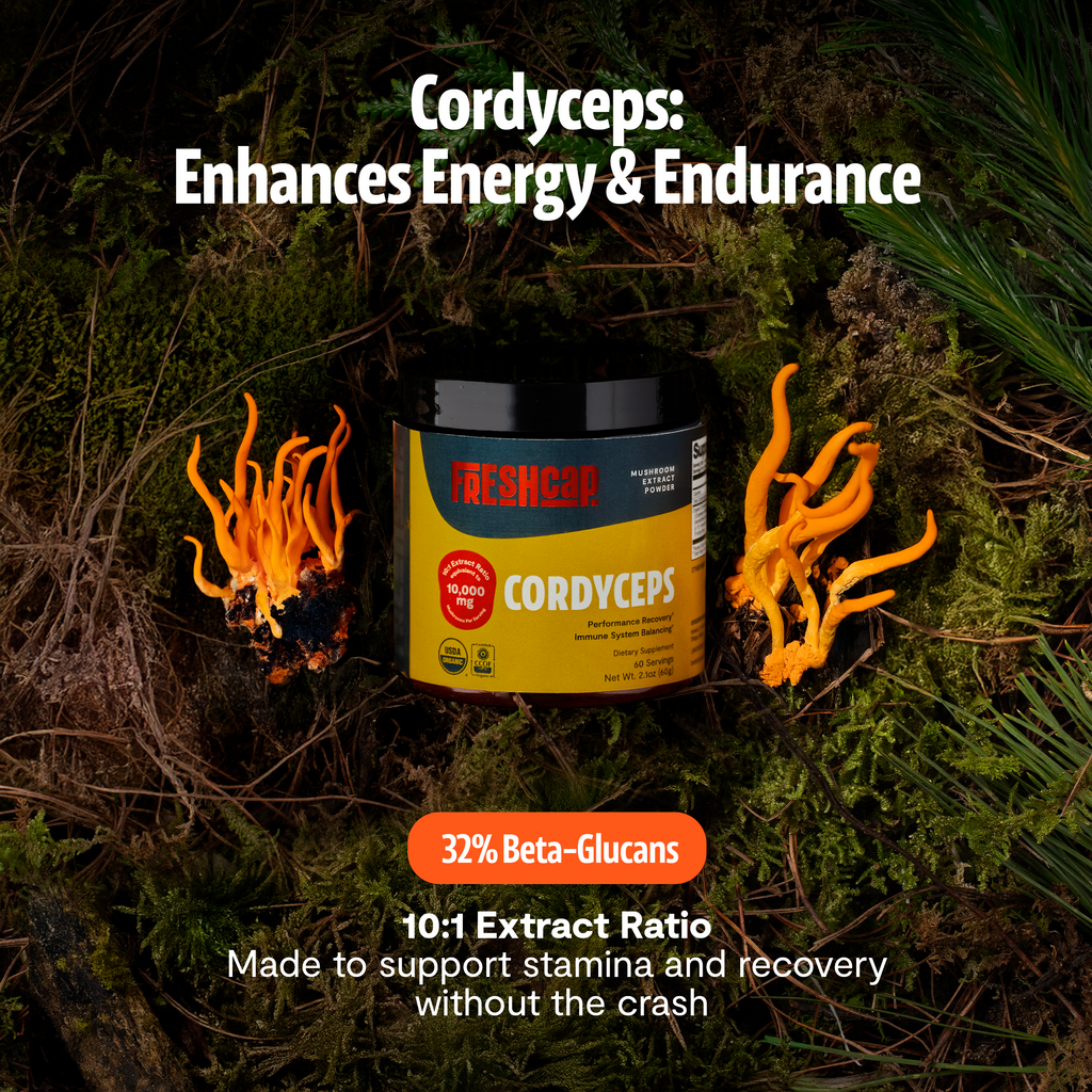 Cordyceps Mushroom Extract Powder