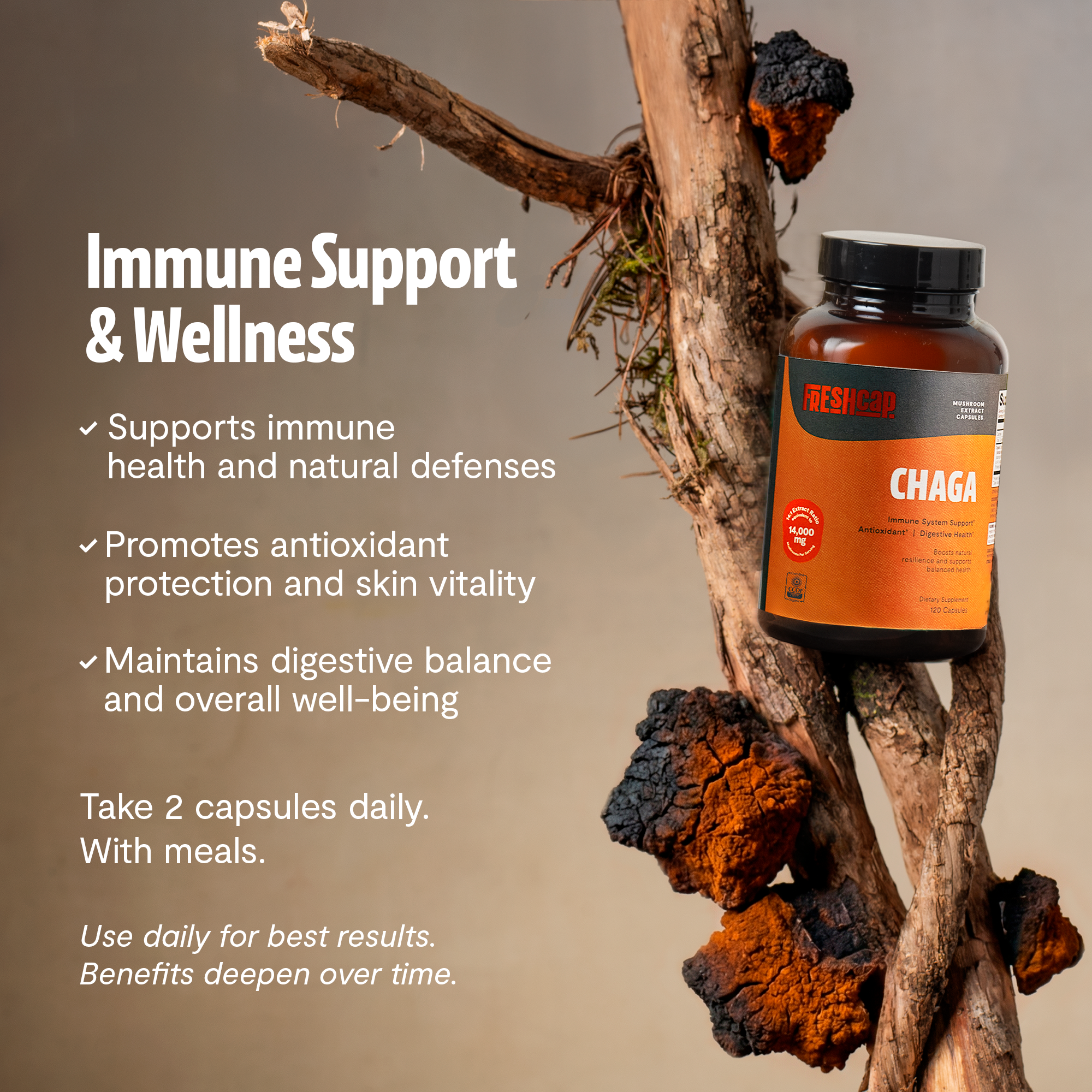 Chaga Mushroom Extract Capsules