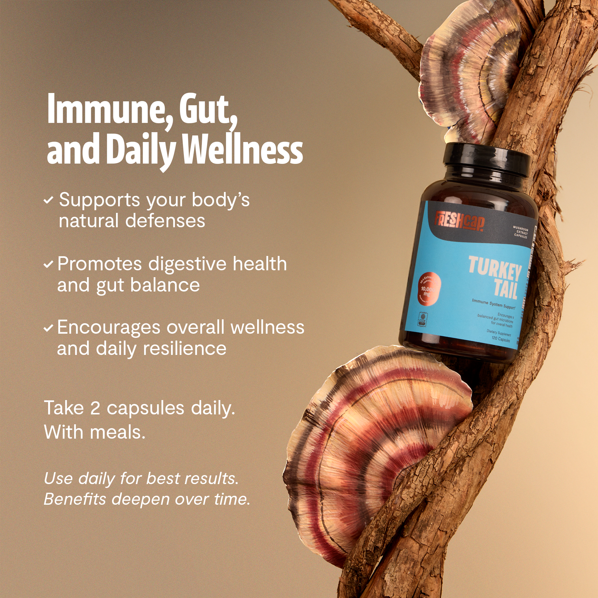 Turkey Tail Mushroom Extract Capsules