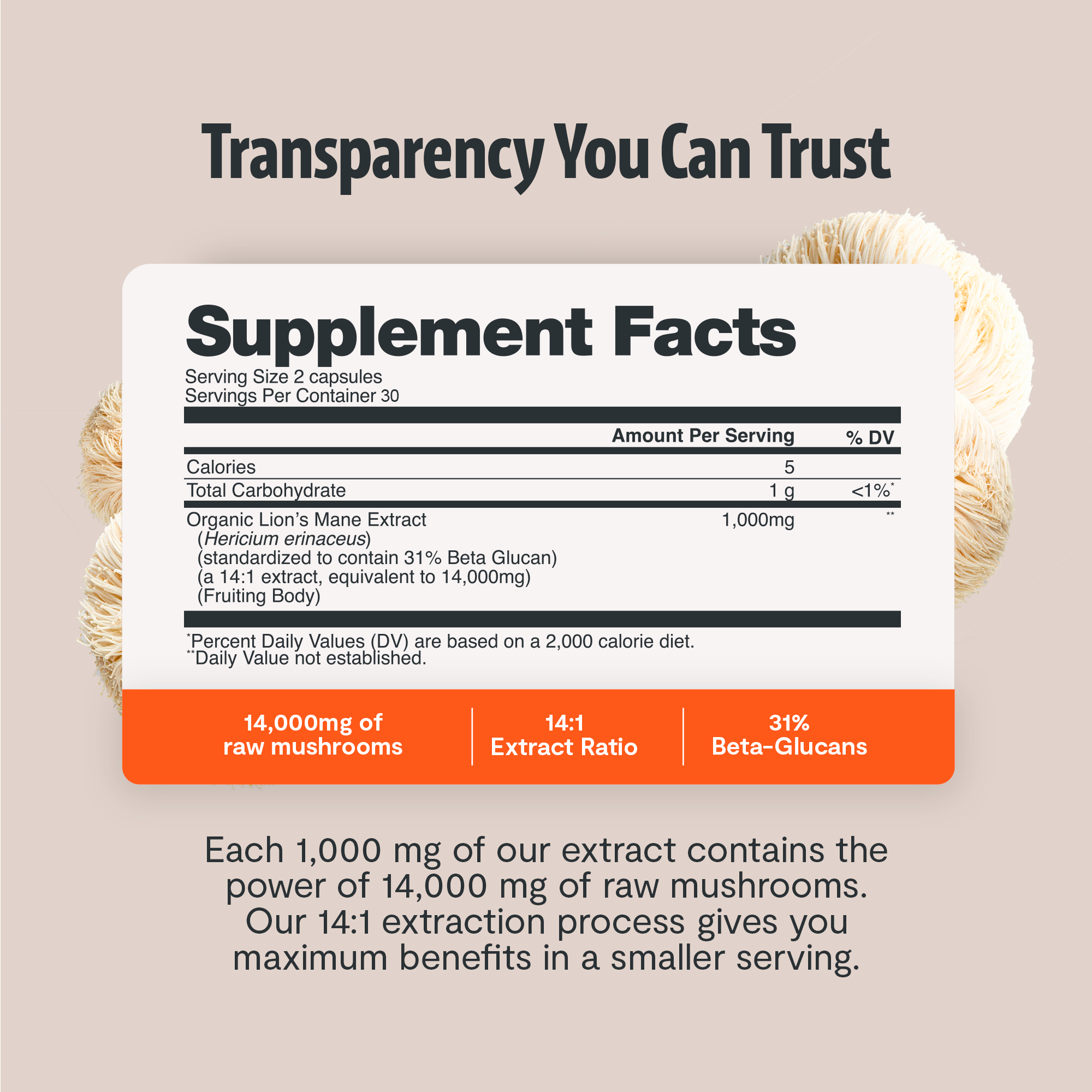 Lion's Mane Mushroom Extract Capsules