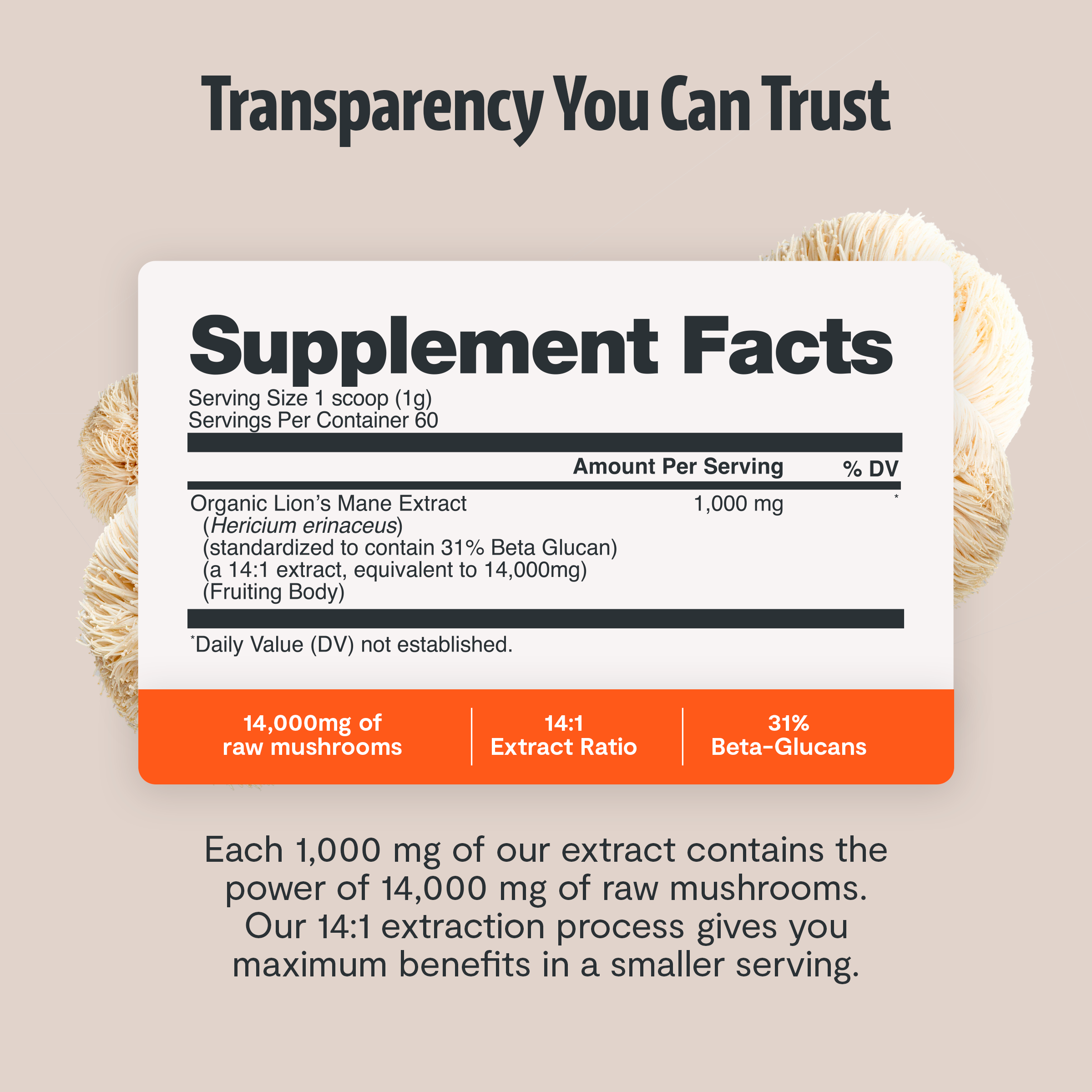 Lion's Mane Mushroom Extract Powder