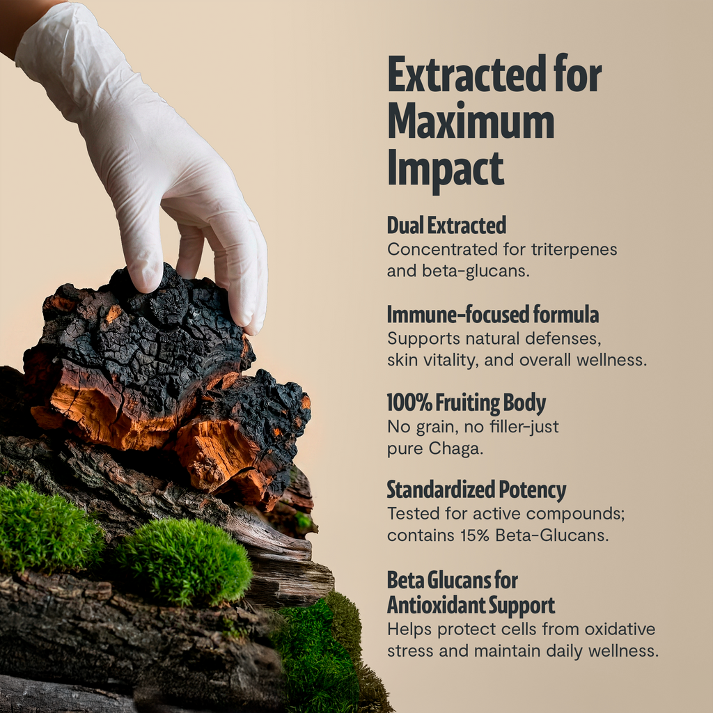 Chaga Mushroom Extract Capsules