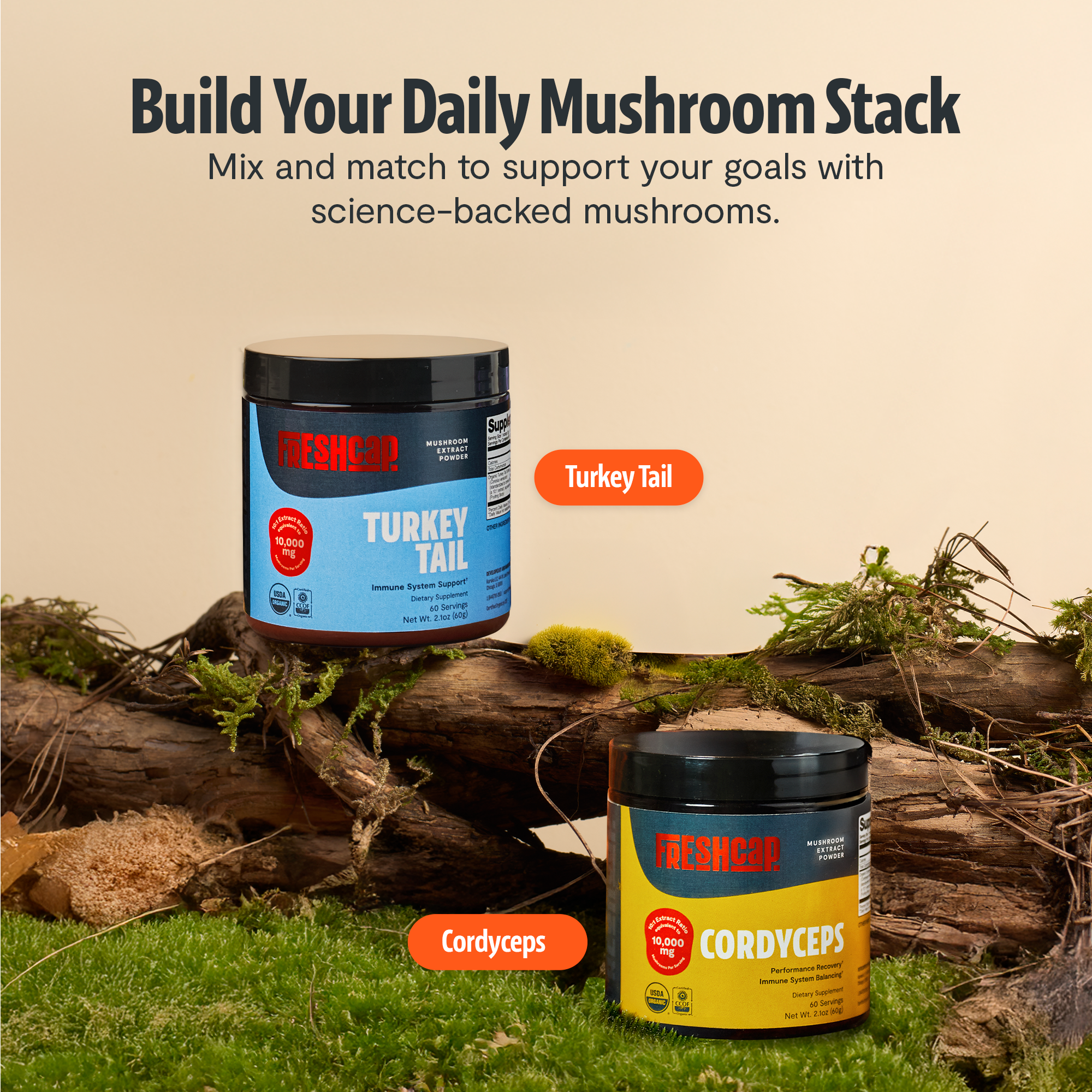 Turkey Tail Mushroom Extract Powder