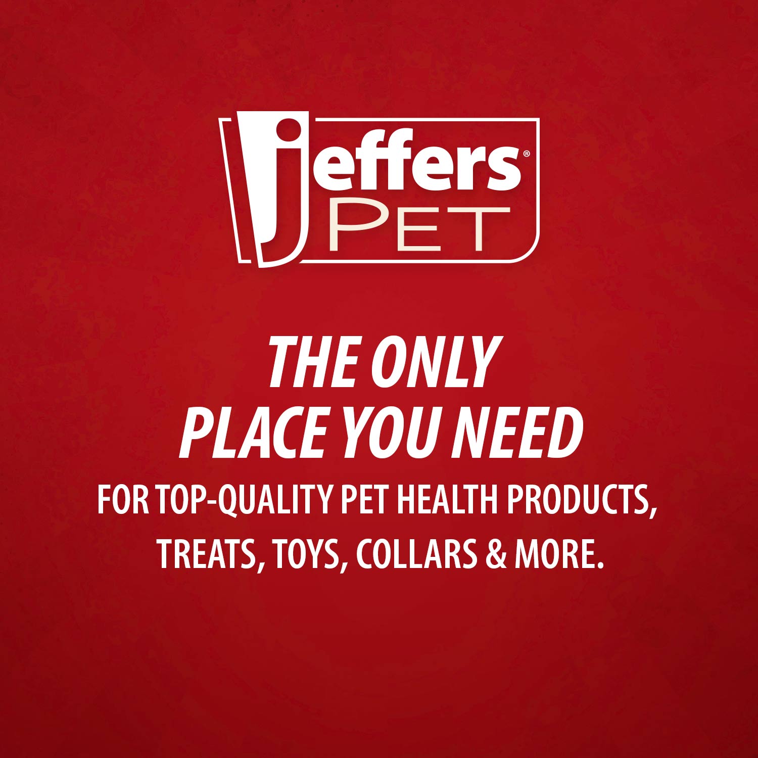 Jeffers Tomato Shaped Natural Rubber Treat Dispensing Dental Dog Chew Toy for Medium-Chewers