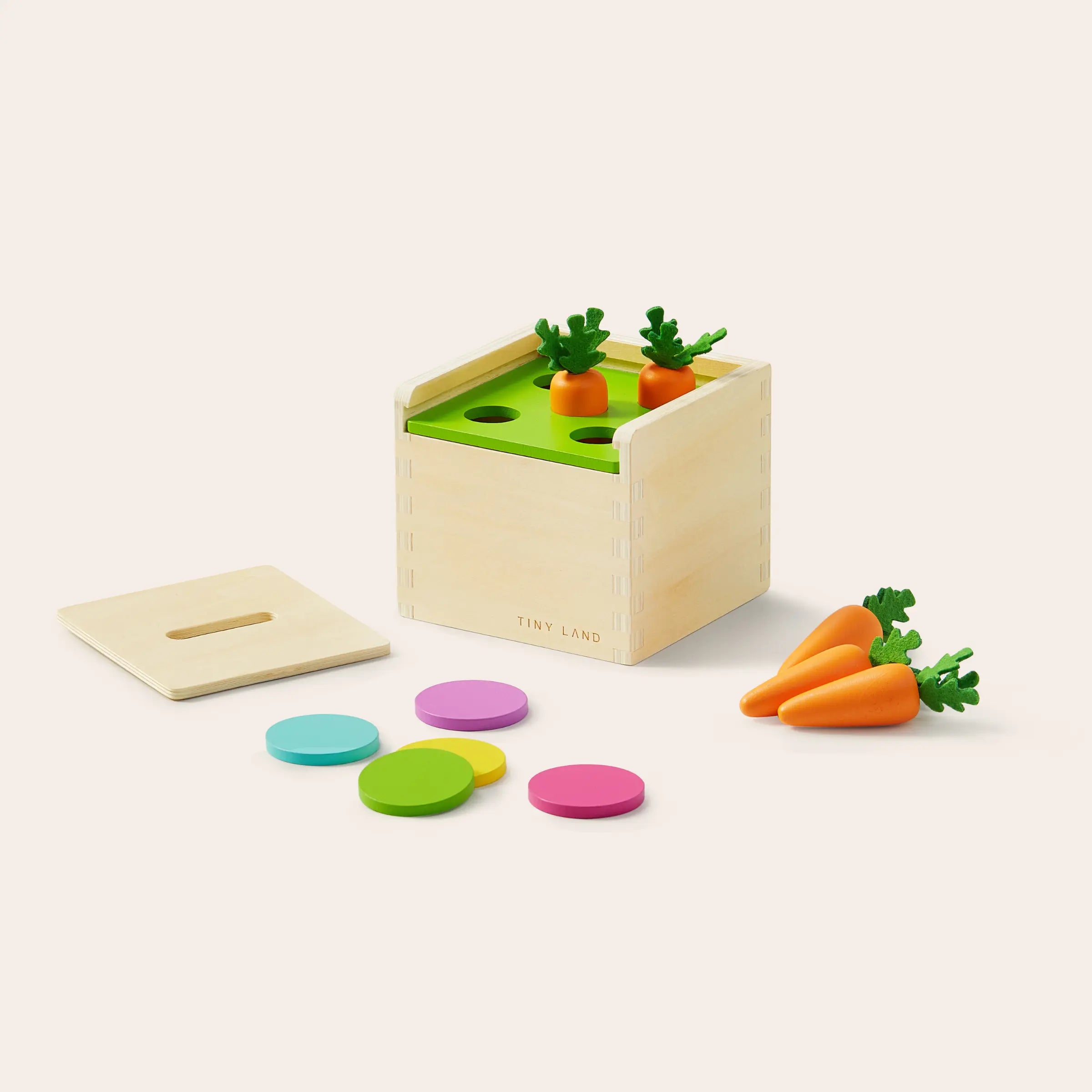Tiny Land® Montessori Toys for Toddlers (13–15 Months)