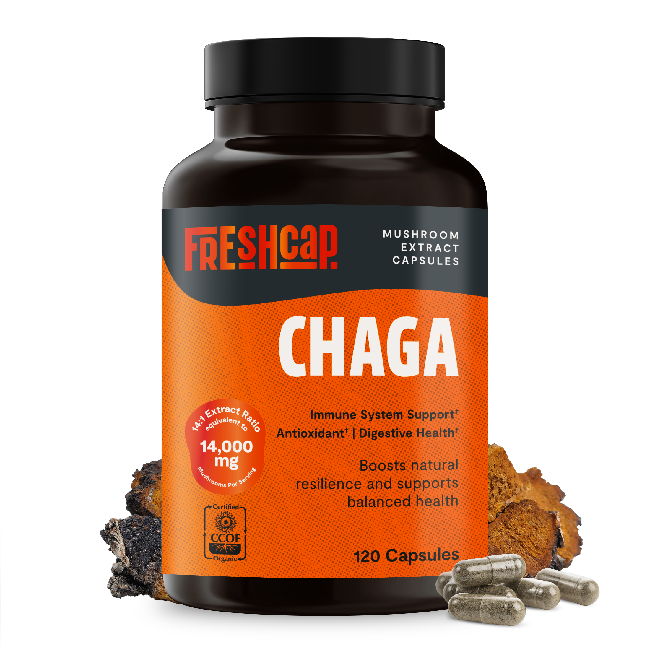 Chaga Mushroom Extract Capsules