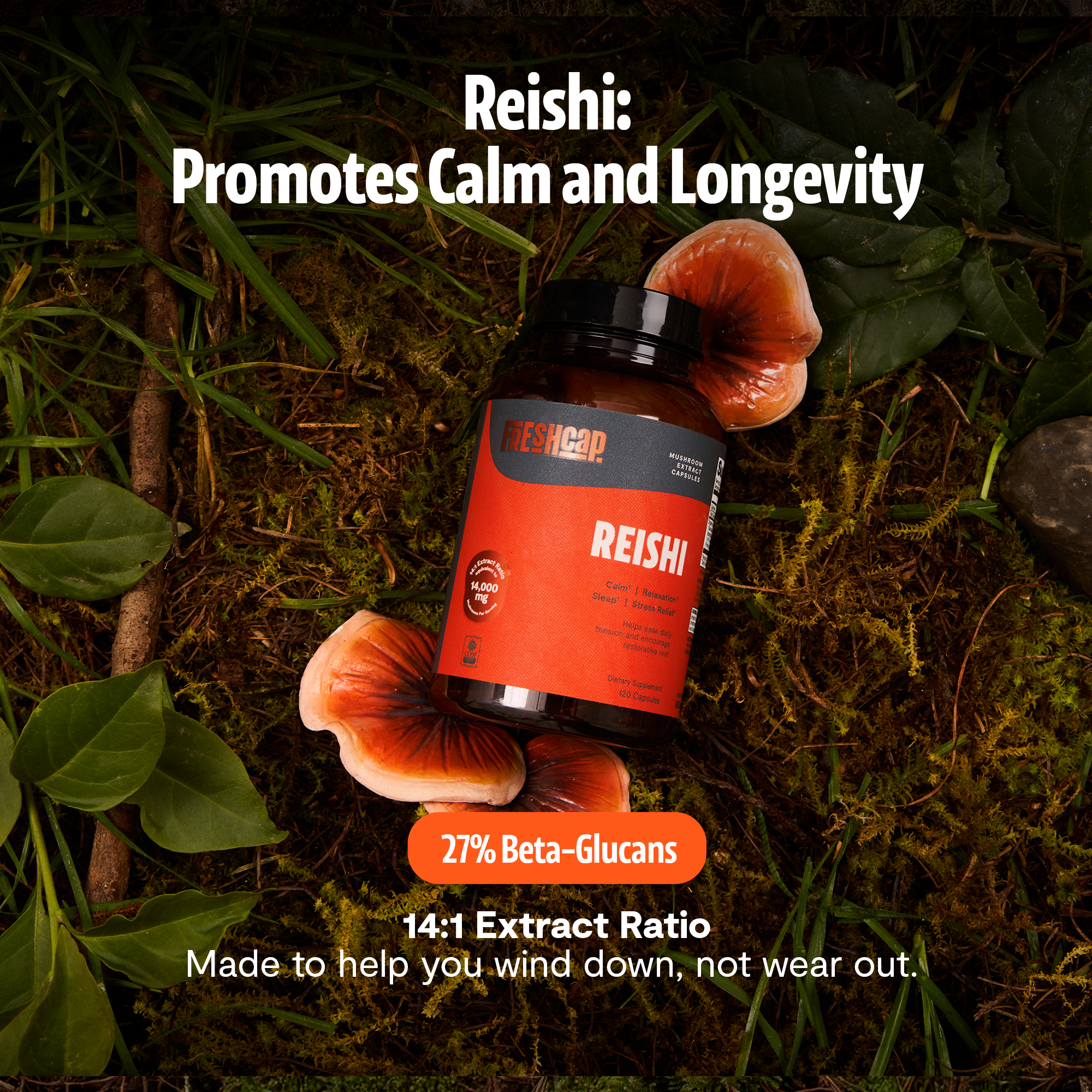 Reishi Mushroom Extract Capsules