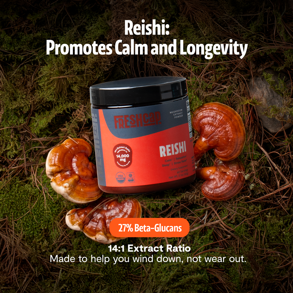 Reishi Mushroom Extract Powder
