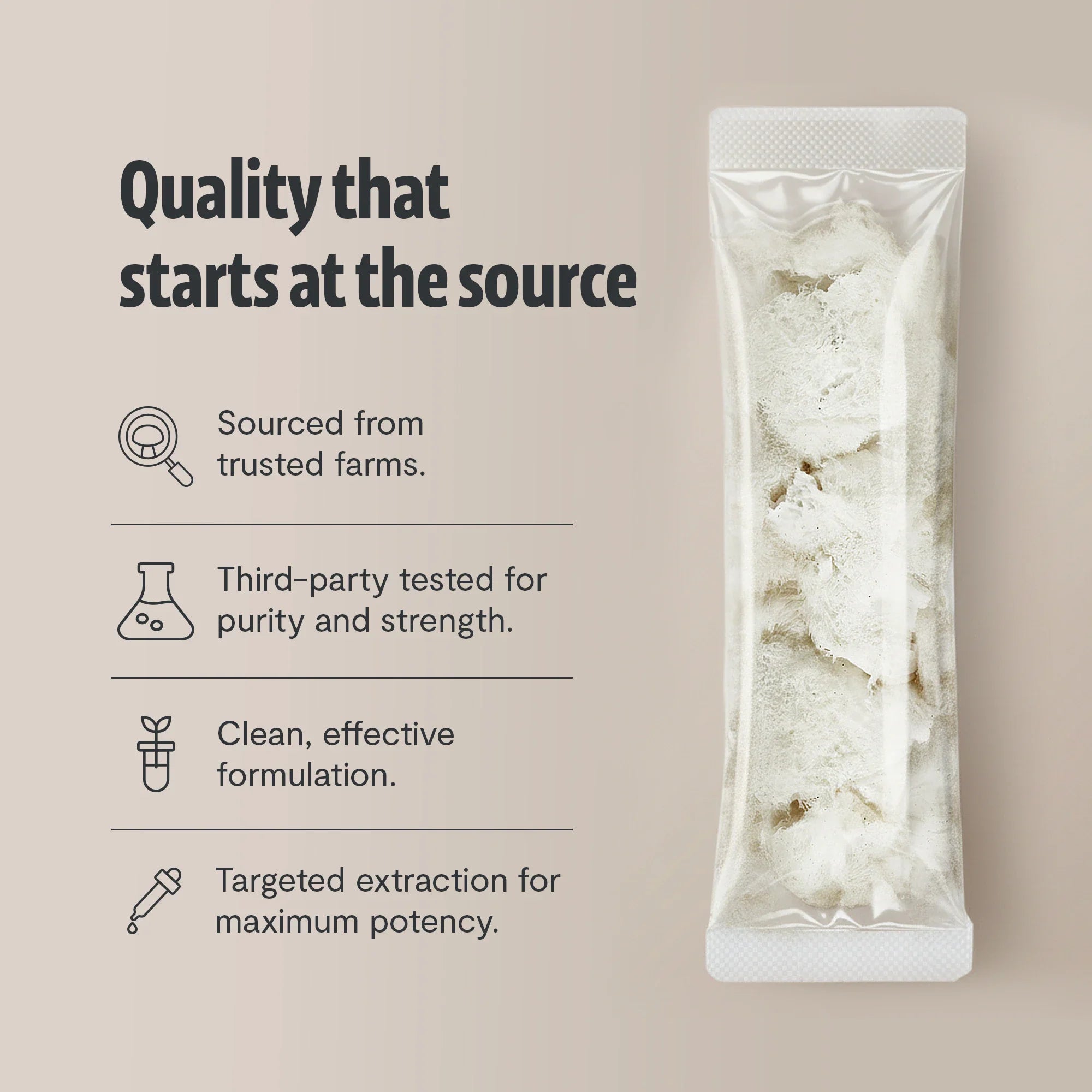 Lion's Mane Mushroom Extract Powder