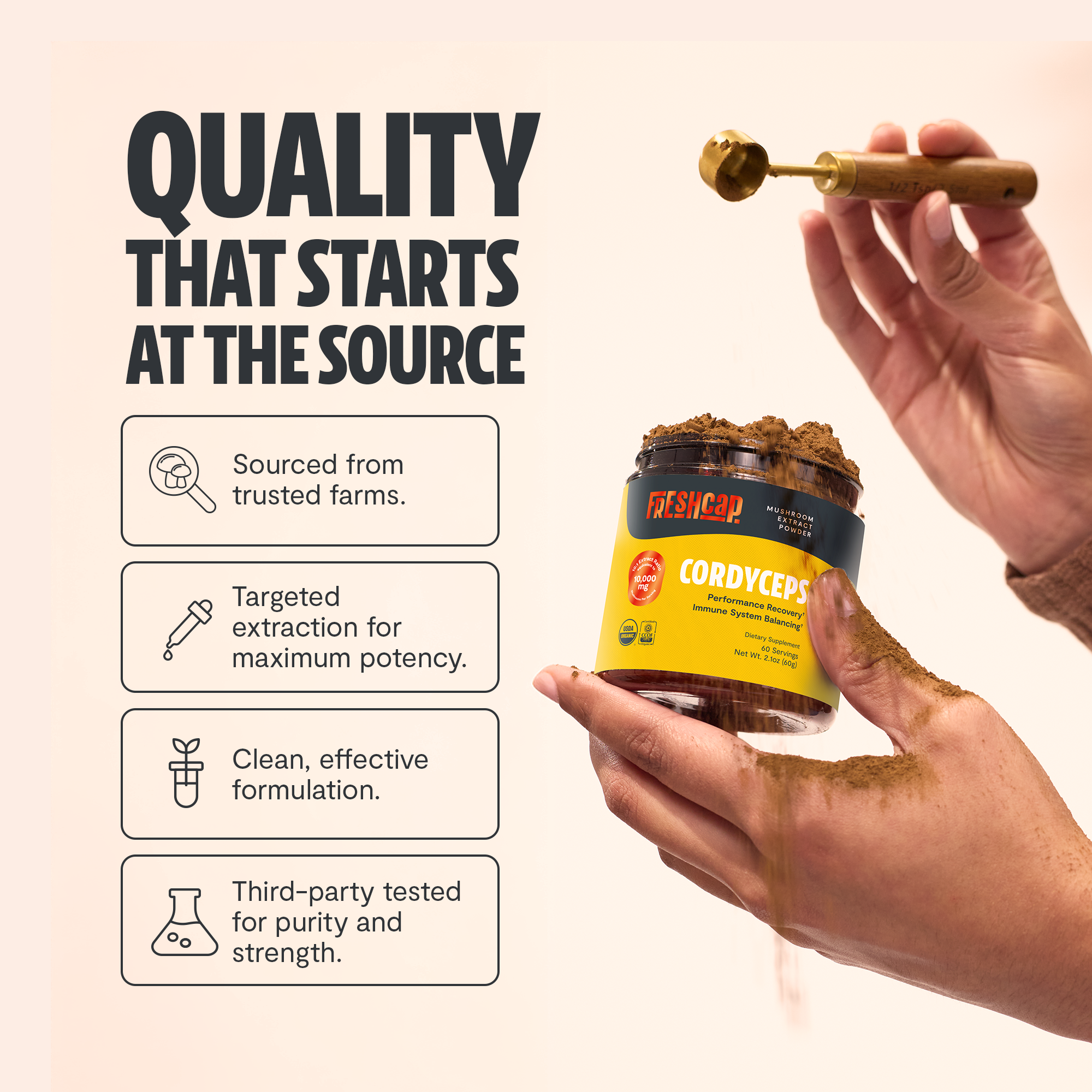 Cordyceps Mushroom Extract Powder