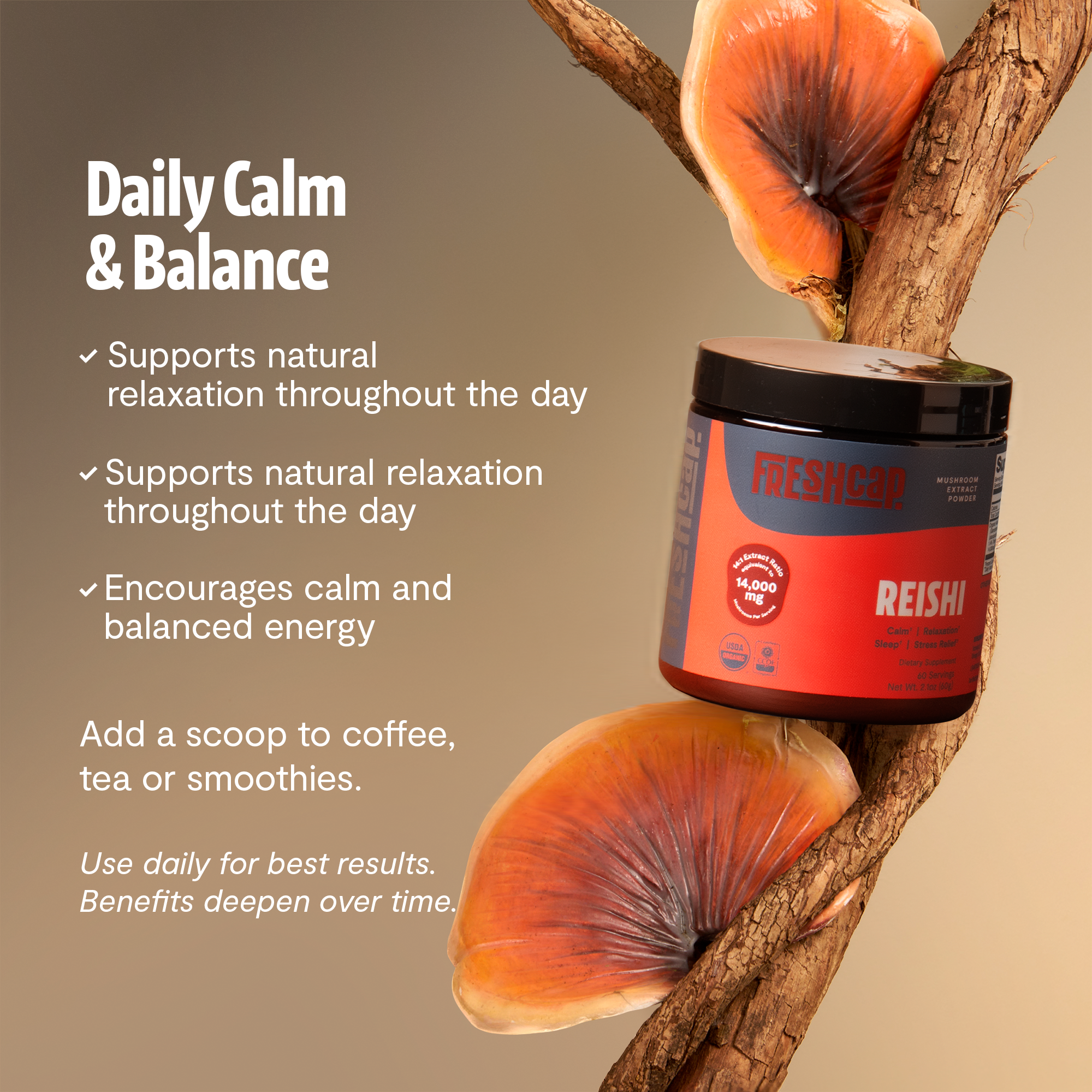 Reishi Mushroom Extract Powder