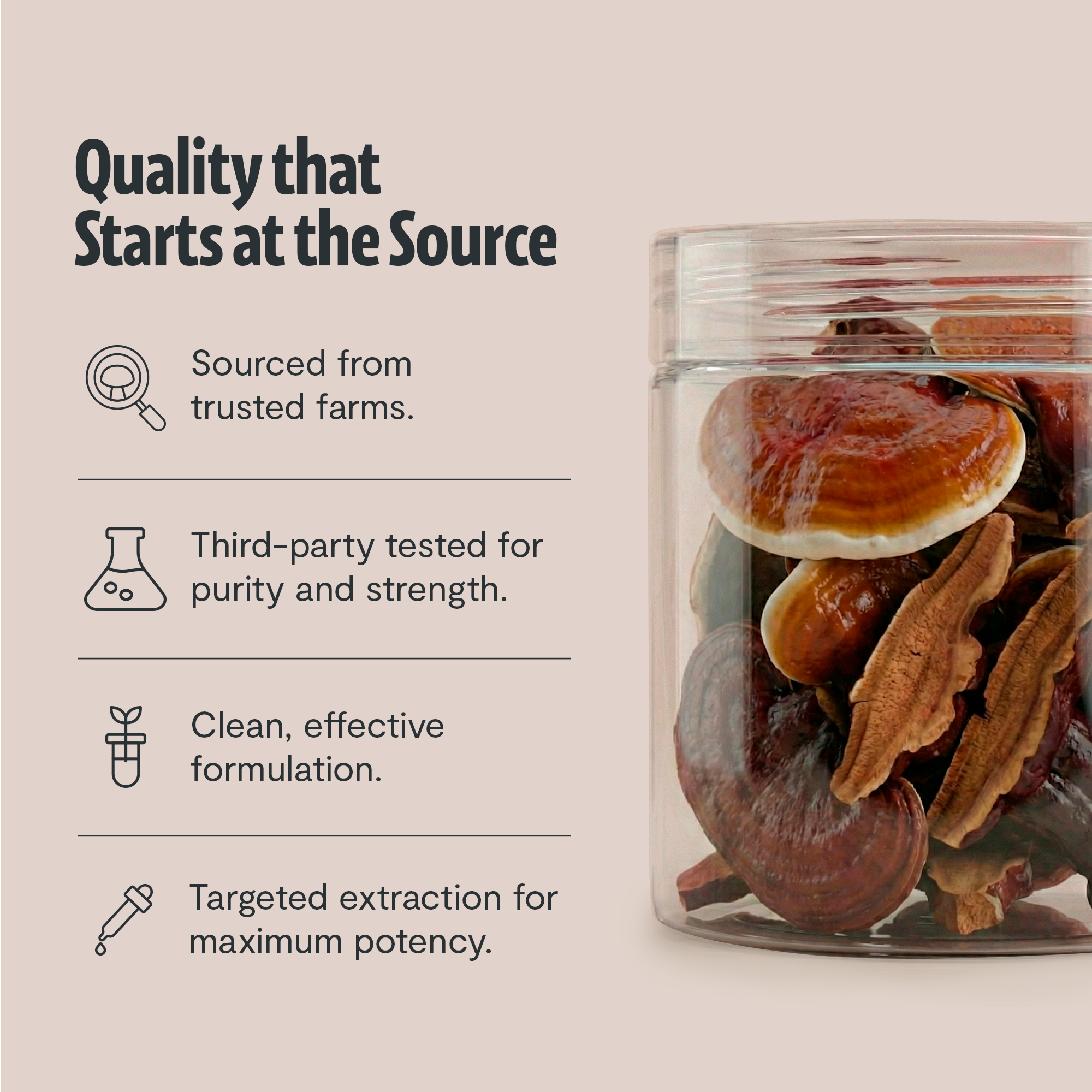 Reishi Mushroom Extract Powder
