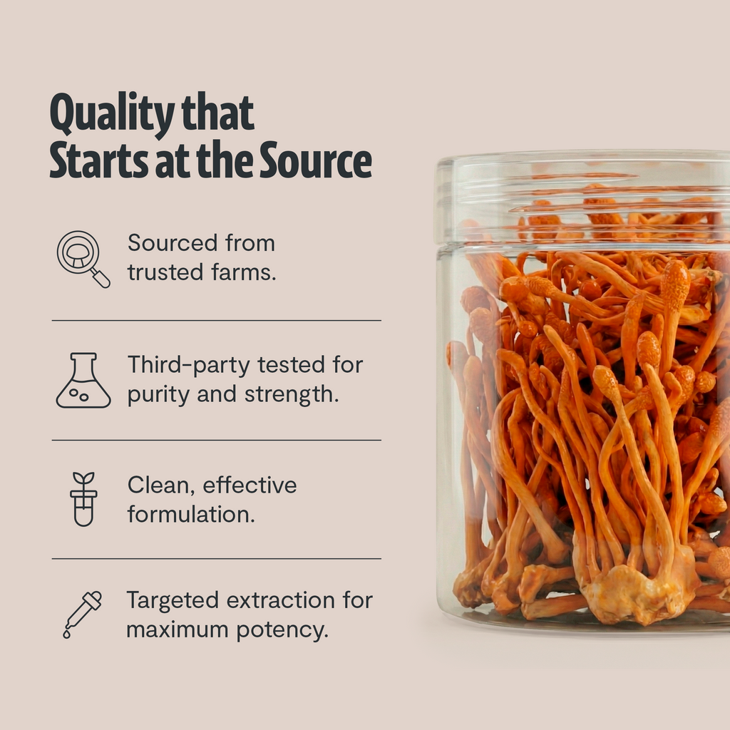 Cordyceps Mushroom Extract Powder