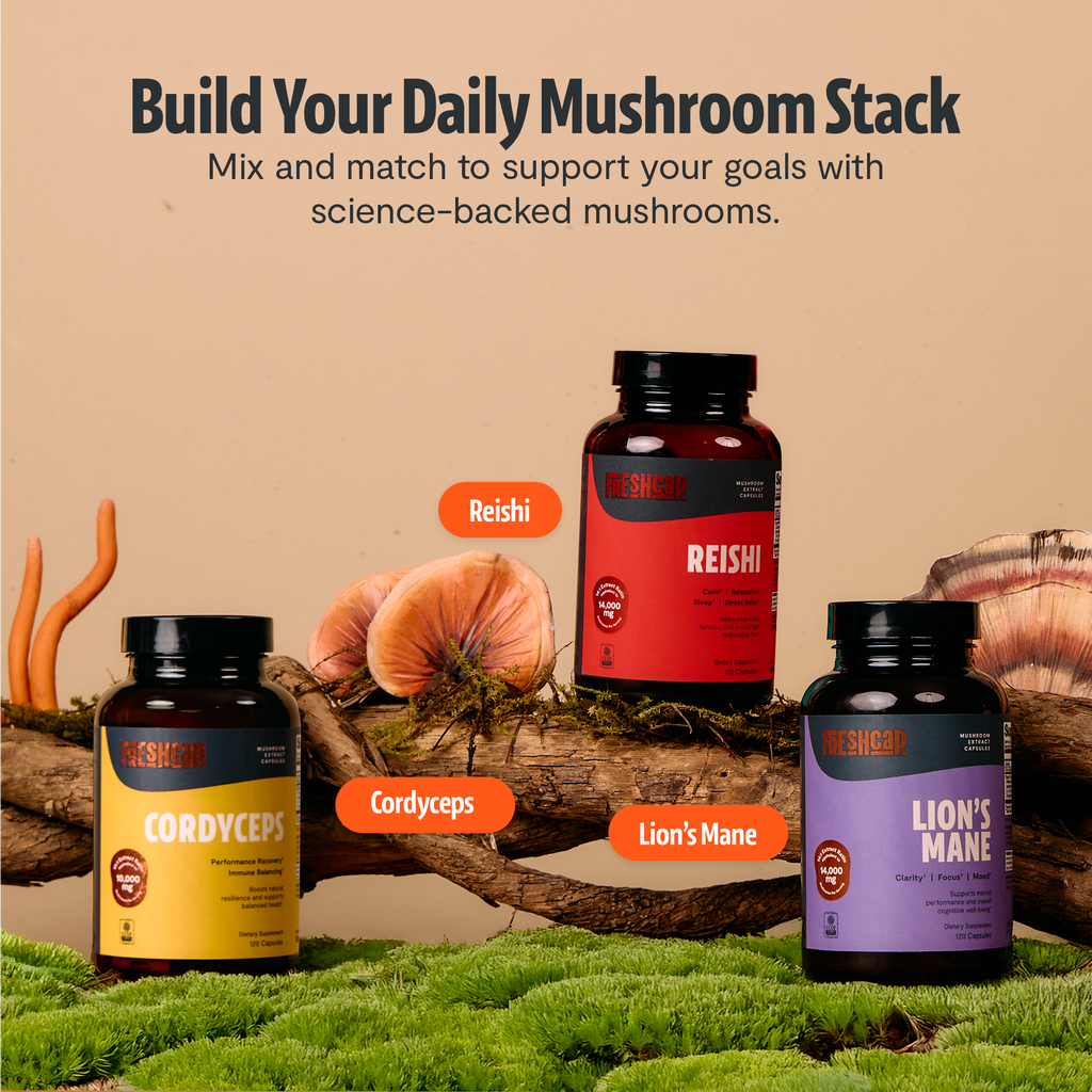 Reishi Mushroom Extract Capsules