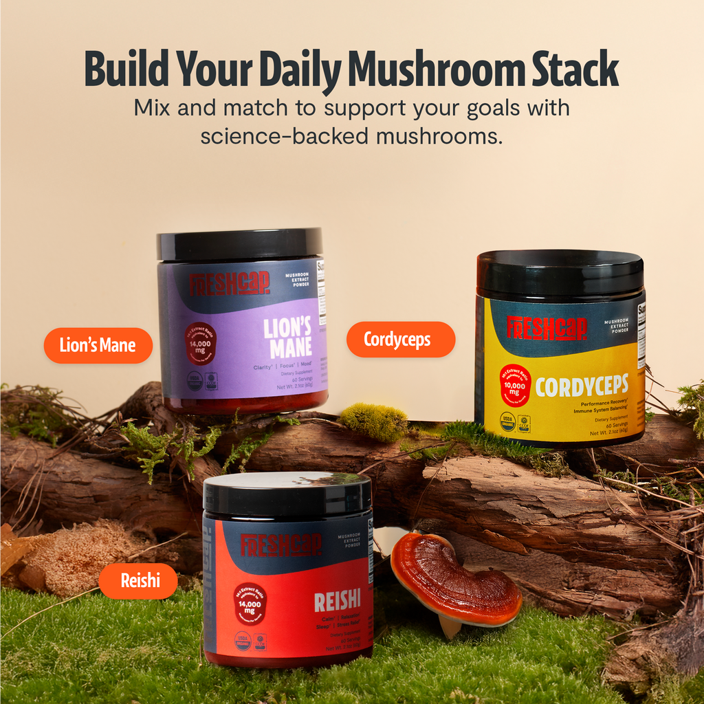 Reishi Mushroom Extract Powder