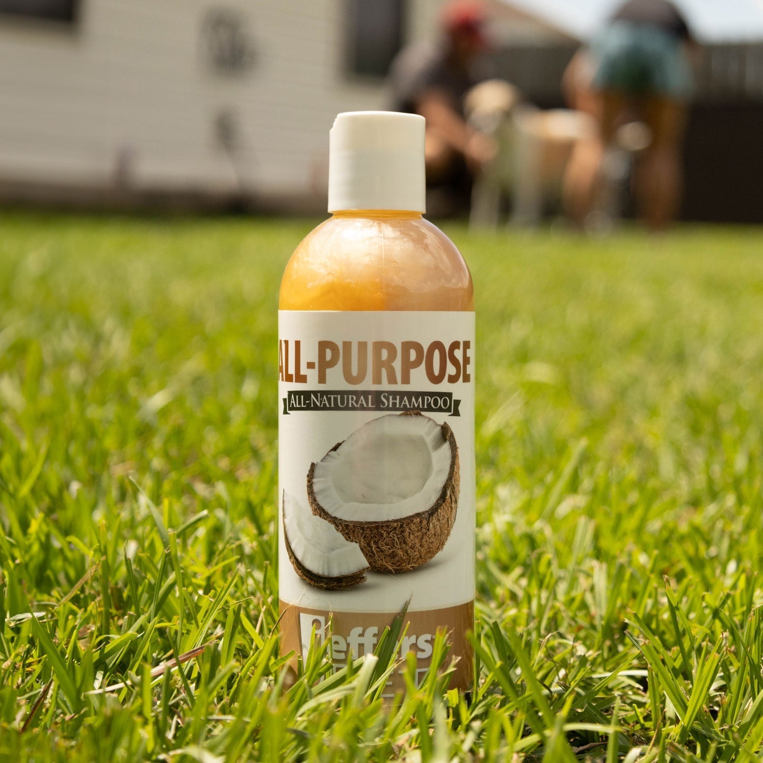 Jeffers Pet Tearless All-Purpose All-Natural Coconut Oil Shampoo for Dogs & Cats