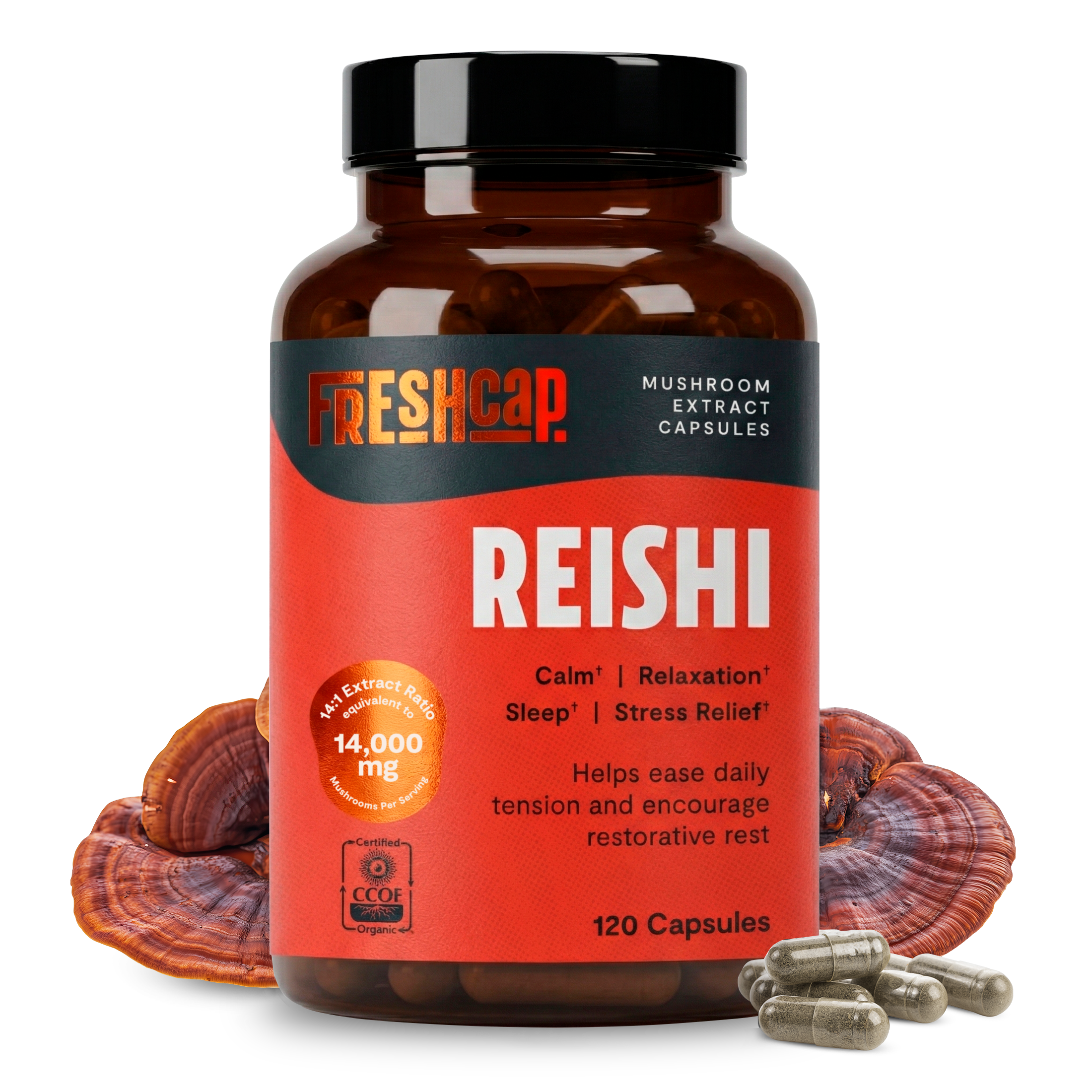 Reishi Mushroom Extract Capsules