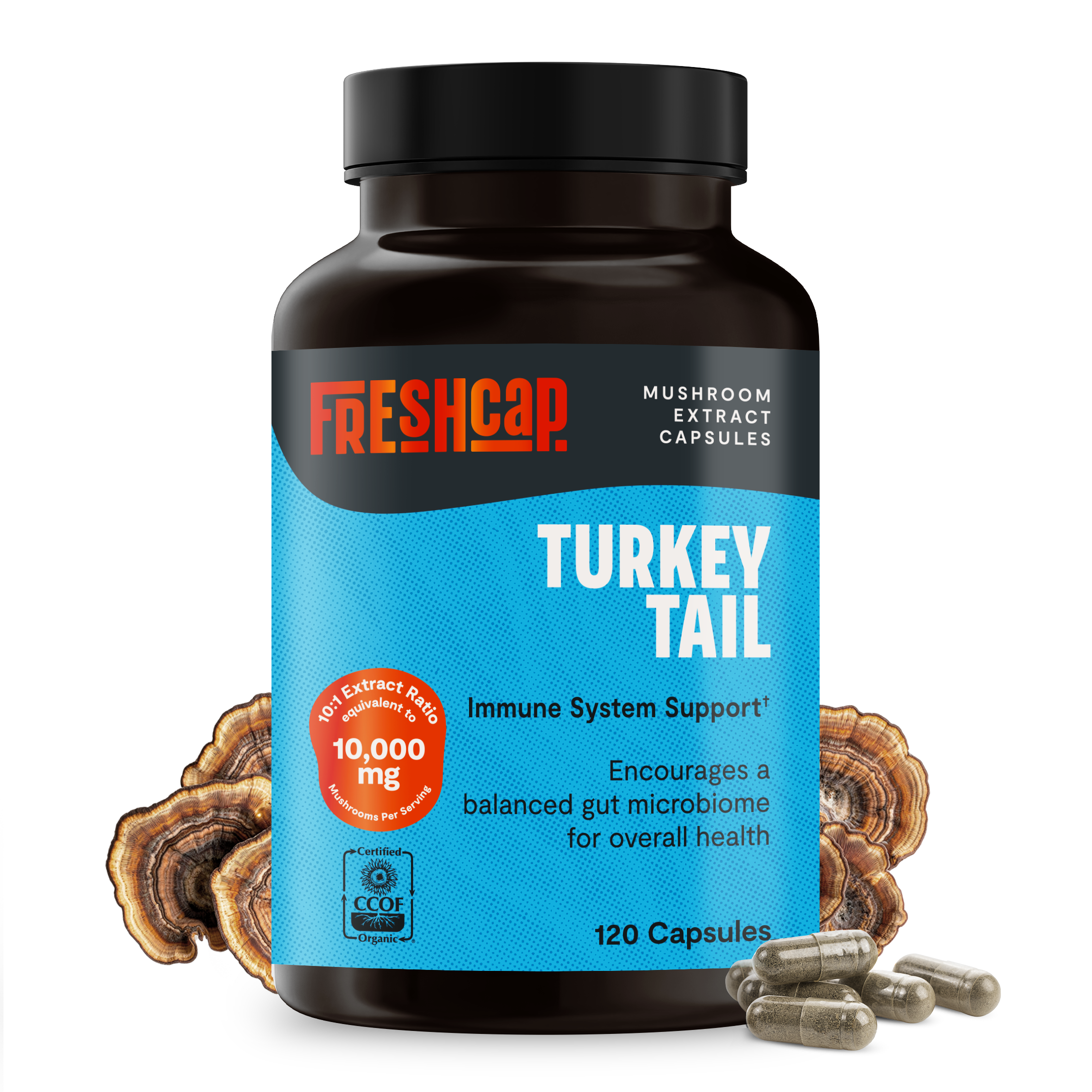 Turkey Tail Mushroom Extract Capsules