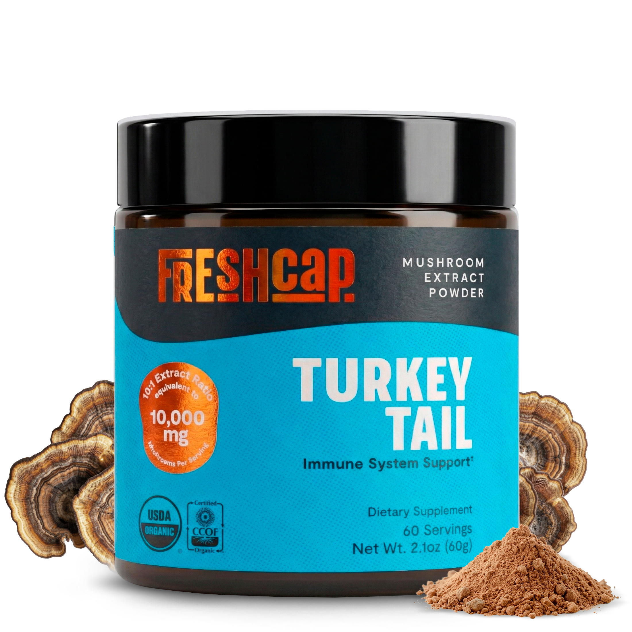 Turkey Tail Mushroom Extract Powder