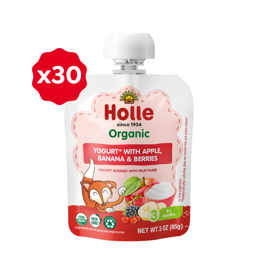 Organic Apple, Banana & Berries Yogurt Pouches