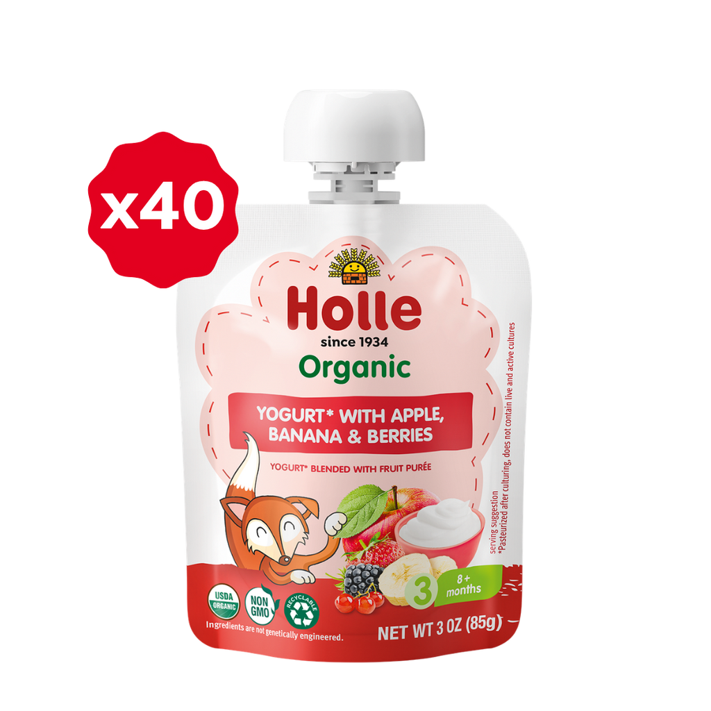 Organic Apple, Banana & Berries Yogurt Pouches